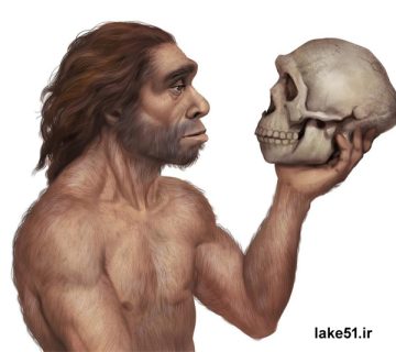 هوموساپینس چیست ؟