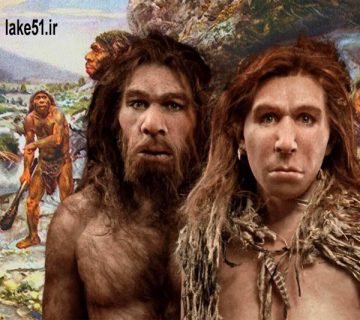 هوموساپینس چیست