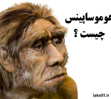 هوموساپینس چیست ؟