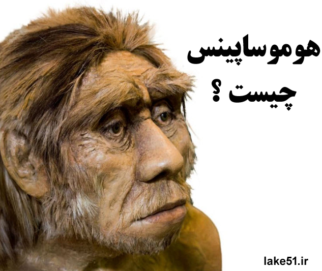 Homo sapiens 03 هوموساپینس چیست ؟