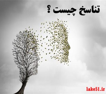 تناسخ چیست ؟