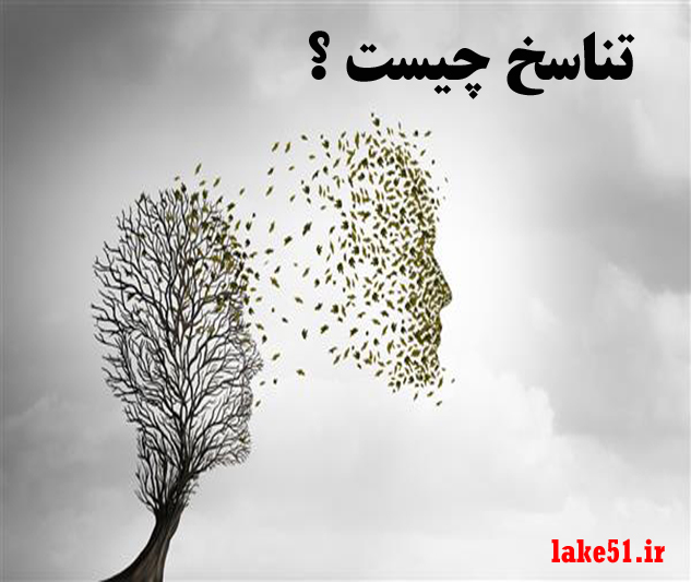 reincarnation02 تناسخ چیست ؟