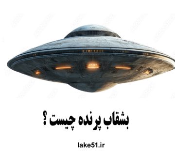 بشقاب پرنده چیست ؟